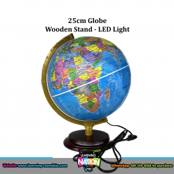 25cm Globe Light